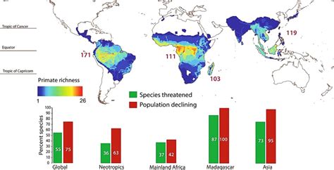 Global primate species richness, distributions, and the percentage of ...