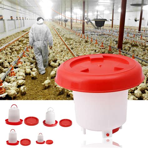 NEW CHICKEN FEEDER CHICKEN WATERER DRINKER POULTRY – Uncle Wiener's ...