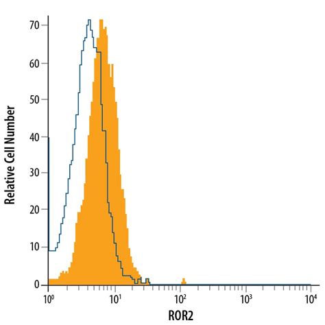 ROR2 Antibody (231509) [Alexa Fluor® 488] (FAB20641G): Novus Biologicals