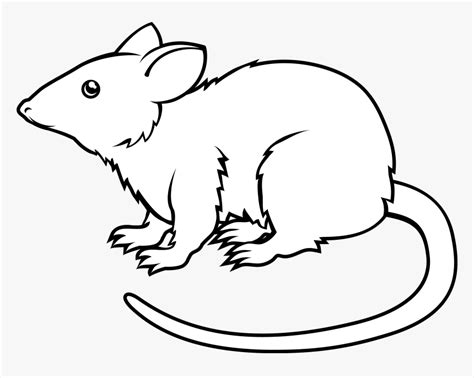 Black And White Animated Rat Png, Transparent Png - kindpng