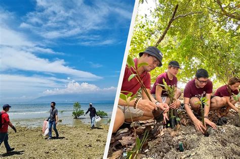 Coastal cleanup, mangrove planting isinagawa sa Davao City | ABS-CBN News