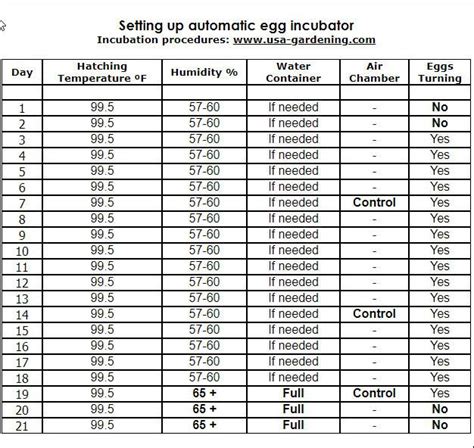 Egg Incubator Temperature Setting