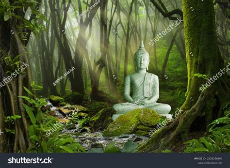 3d Buddha Wallpaper Forest Background Stock Illustration 2228236603 ...