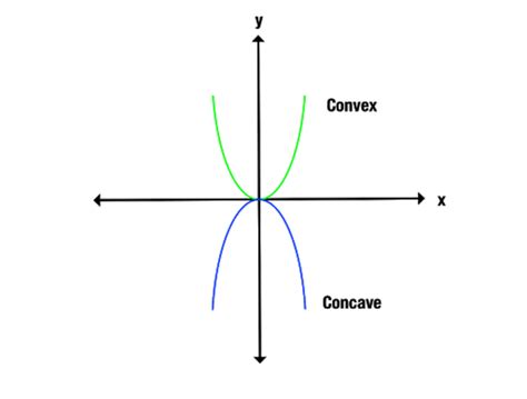 Concave vs. convex: What’s the difference? – The Word Counter