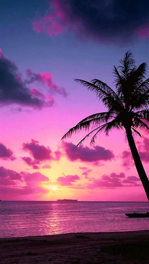 Tropical Pink Wallpapers - Top Free Tropical Pink Backgrounds ...