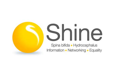 Shine Web and Logo Design | Portfolio | Free Thinking Design