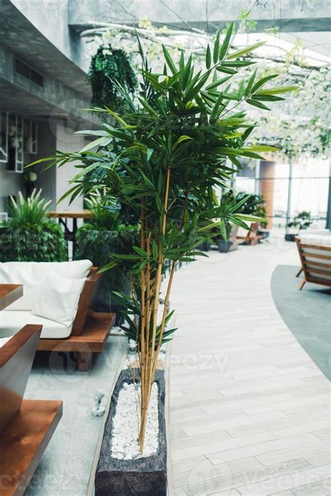 trendy cafe with plants 5703157 Stock Photo at Vecteezy