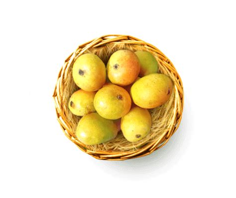 Buy Goa Mankurad (Mancurad) Mango - Mango Basket