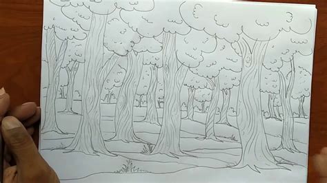 Jungle Scene Drawing