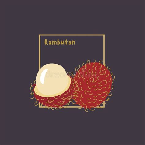 Hand Drawing Rambutan with Slice on Dark Background. Stock Illustration ...