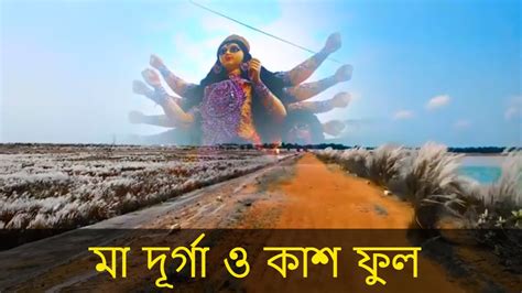 Durga Puja 2019 | Kash Phool | Purulia - YouTube