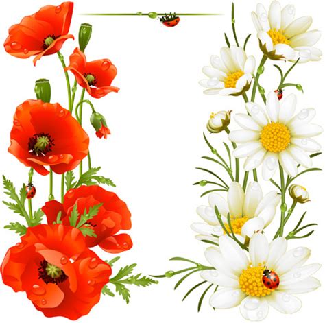 Poppy vectors free download 48 editable .ai .eps .svg .cdr files