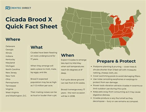 Map Of 2024 Cicada Broods - Hulda Laurice