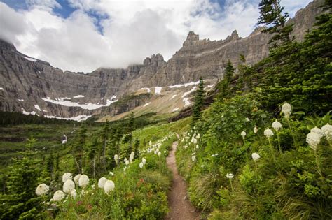 The Ultimate Guide to Hiking Iceberg Lake - Alex on the Map