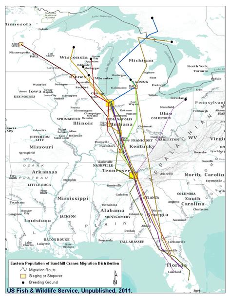 The Use of Satellite Telemetry to Evaluate Migration Chronology and ...