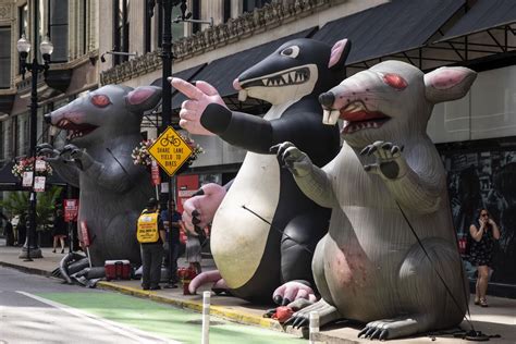 Scabby the Rat in jeopardy? Fuhgeddaboudit! - Chicago Sun-Times