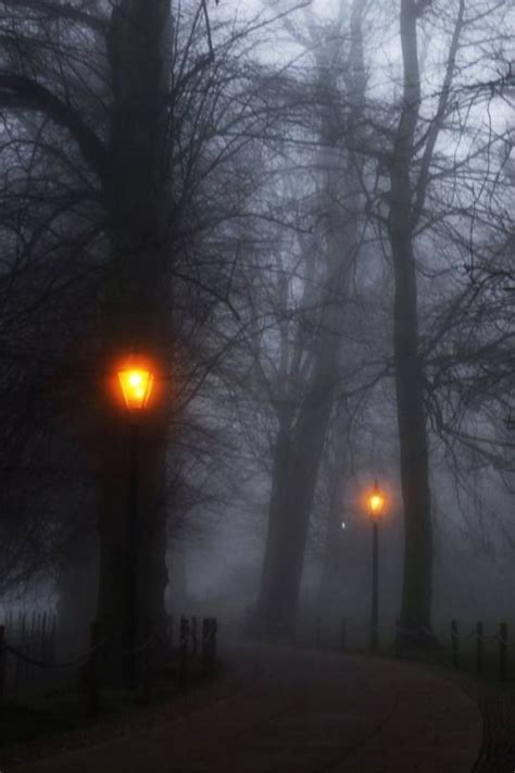 A rare autumn fog captured at the footpath leading to King’s College ...