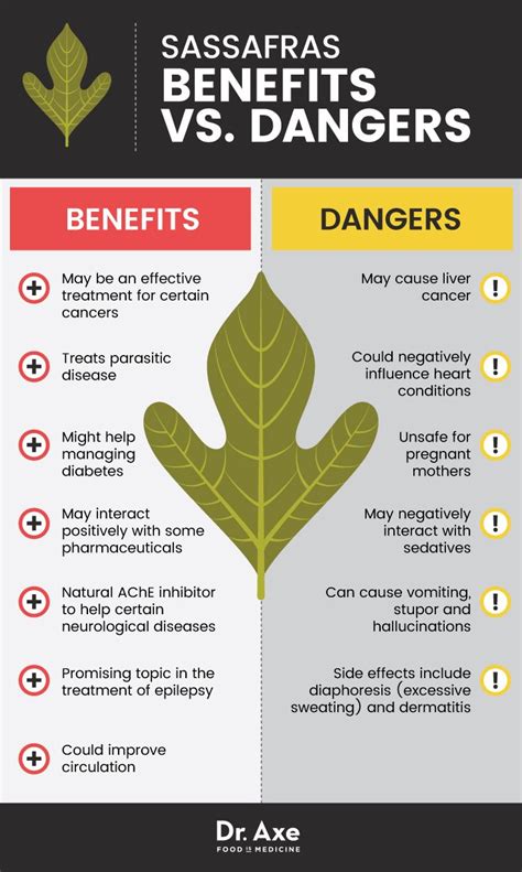 Sassafras benefits vs. dangers - Dr. Axe | Infographic health, Holistic ...