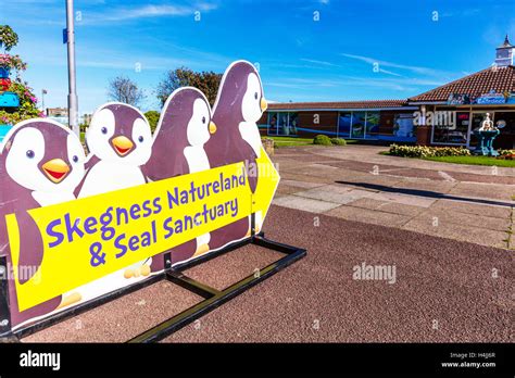 Skegness natureland seal sanctuary building exterior sign Skegness ...