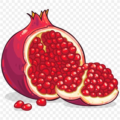 Pomegranate Clip Art, PNG, 1024x1024px, Mediterranean Basin, Berry ...