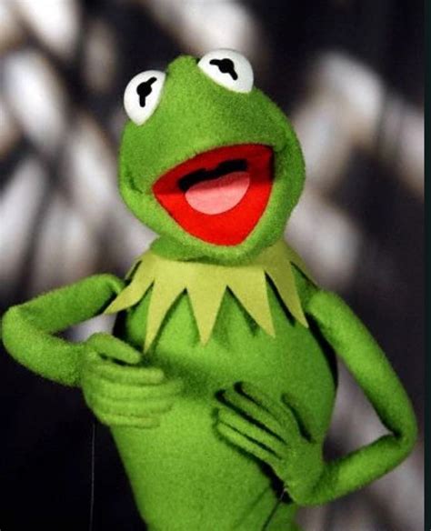 Kermit, o Sapo | Disney Wiki | Fandom