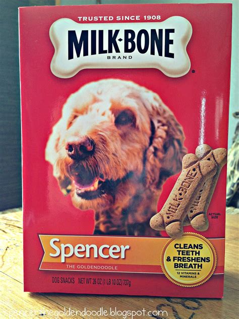 Spencer the Goldendoodle: Tasty Tuesday: Custom Milk Bone Box