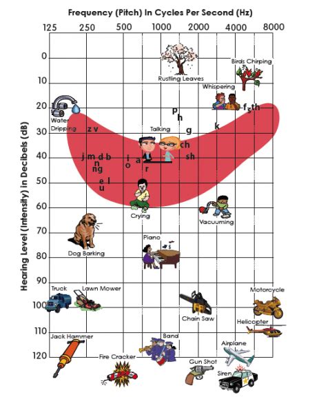 A Patient Guide to Understanding Your Audiogram Results - Attune