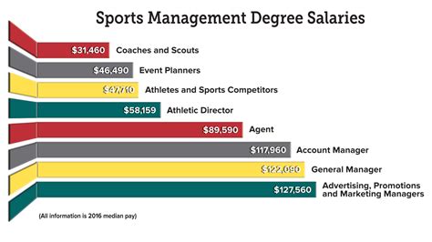 Sports Management Major: career choices & opportunities available