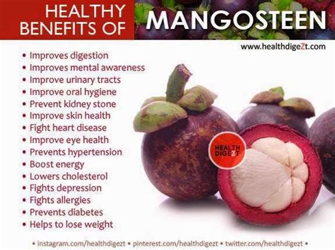 TELUGU WEB WORLD: Healthy Benefits of Mangosteen