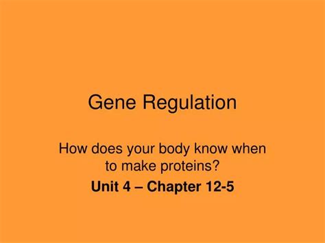 PPT - Gene Regulation PowerPoint Presentation, free download - ID:1807555