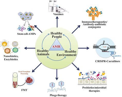 Frontiers | Futuristic Non-antibiotic Therapies to Combat Antibiotic ...