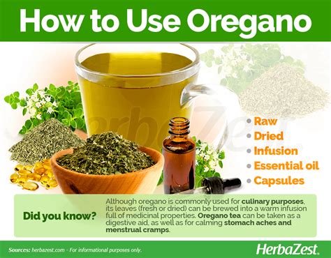 Oregano | HerbaZest