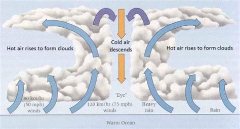 Tropical Cyclones: Favorable Conditions for Formation, Stages of ...