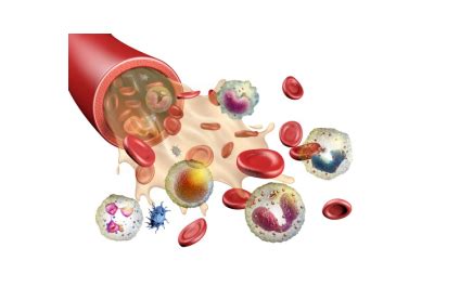 Hematologic Cancer - Creative Diagnostics