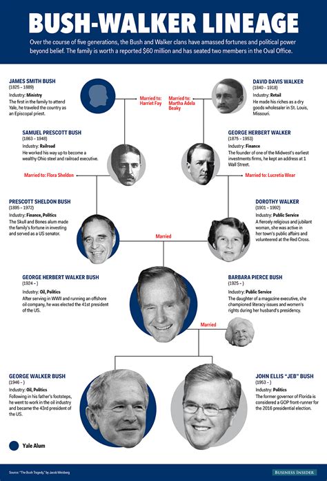 Bush-Walker visual lineage - Business Insider