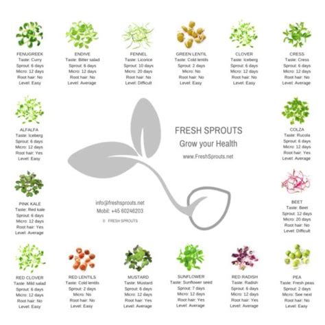 Sprout chart in print with info on organic sprouts and microgreens