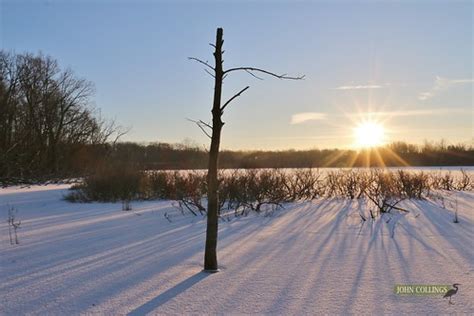 Frozen Pond Sunrise | London Ontario Canada | John Collings | Flickr