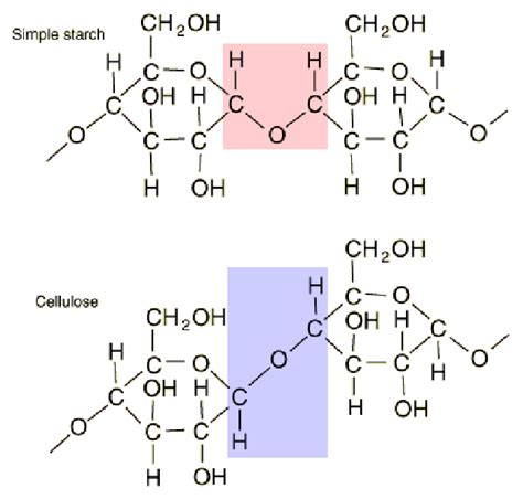 Chemical Makeup Of Glucose And Starch - Mugeek Vidalondon