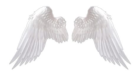 Realistic Angel Wings Png File Png Mart 2574 | The Best Porn Website