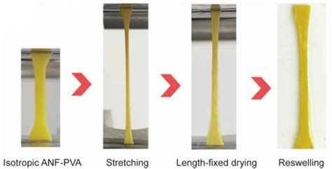 hydrogel fabrication [IMAGE] | EurekAlert! Science News Releases