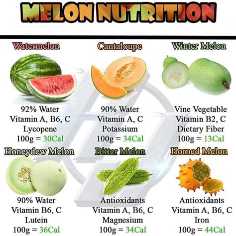 What’s your favourite melon? 🍉 | Melon health benefits, Watermelon ...