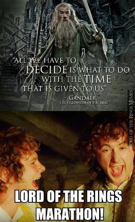 Lord of the Rings marathon! | Lord of the rings, The hobbit, Lotr funny