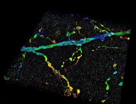 Imaging technology allows visualization of nanoscale structures inside ...