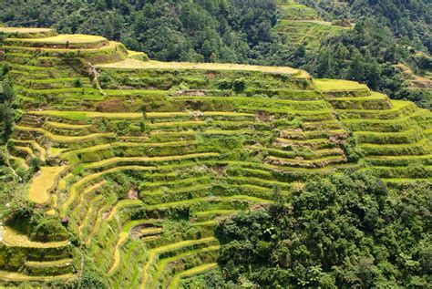 Banaue Rice Terraces, Philippines - Map, Facts, Location, Information