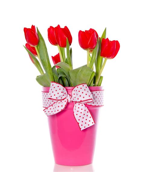 Cheerful red tulip bouquet stock photo. Image of bunch - 17518078