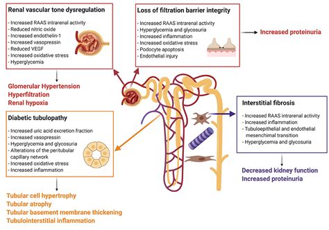 Renal Tubular Acidosis In Children