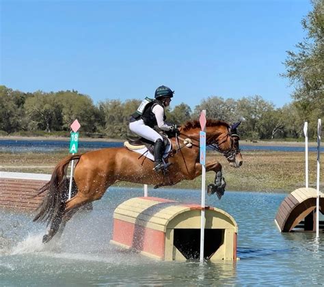 Three Lakes Schooling Show, Three Lakes Horse Trials, Groveland, 10 ...