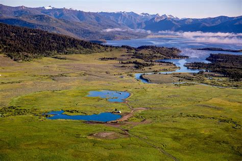 National Geographic Films "Yellowstone Live" on the Yellowstone Basin ...