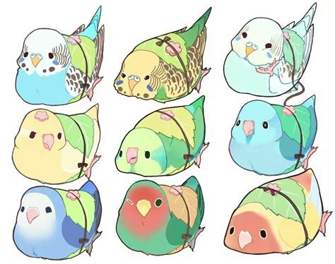 Budgieeee! | Art Stuff, Woo | Pinterest | Budgies, Sushi and Art art