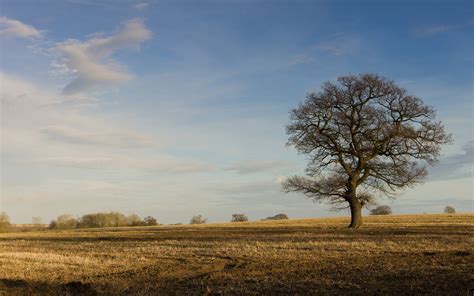 landscape, Photography, Field, Plains Wallpapers HD / Desktop and ...